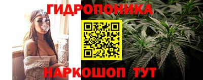 шишки Партизанск
