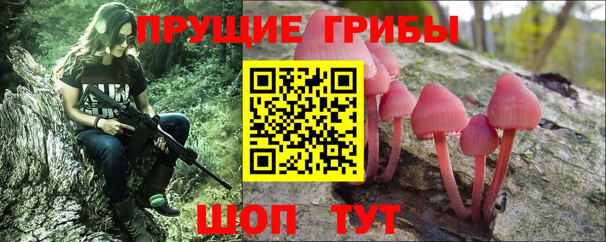 Псилоцибиновые грибы Cubensis Сердобск