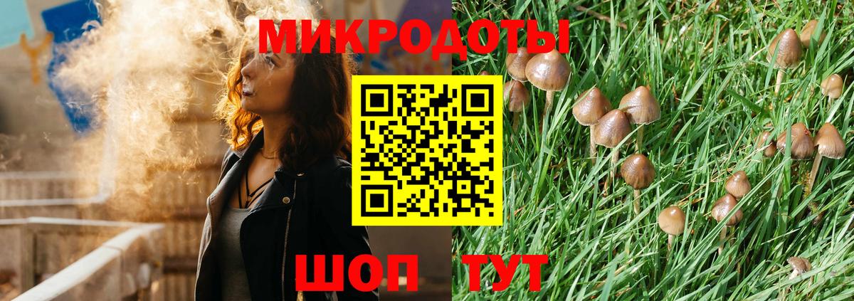 Сердобск  где купить наркотик  Вход с VPN  Псилоцибиновые грибы прущие грибы  Галлюциногенные грибы прущие грибы 