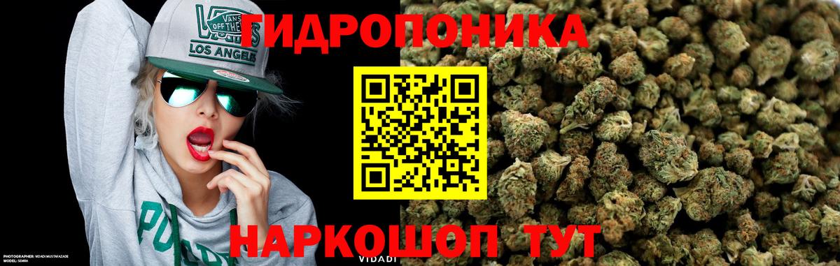 МАРИХУАНА конопля  Каннабис VHQ  Сердобск  Вход с VPN  Бошки марихуана конопля  Конопля ГИДРОПОН 